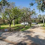 Casa Mobile Lux La Pineta 21 ألبينغا