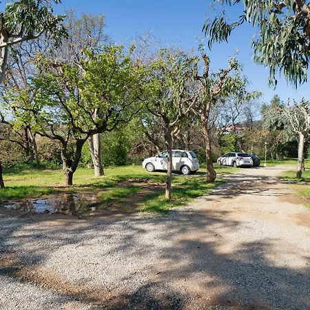 بيت للعطل Casa Mobile Lux La Pineta 21 ألبينغا